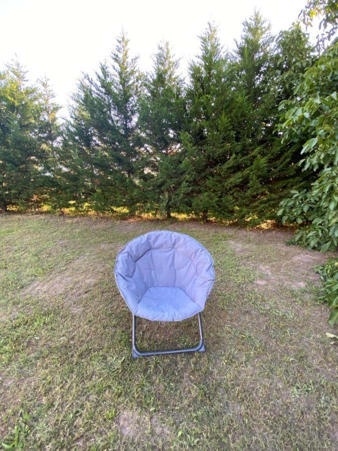 Au Paradis D'Alsace 55 M2 Nature & Relax Ingwiller Экстерьер фото