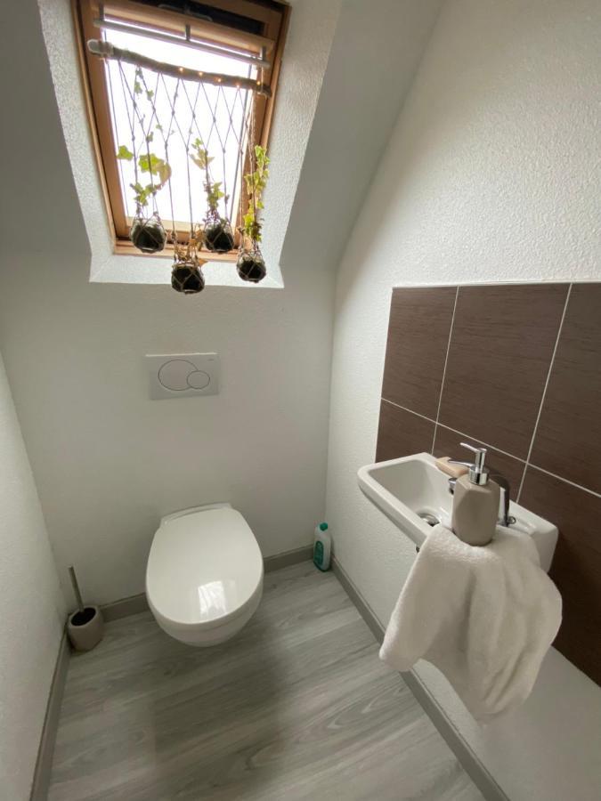 Au Paradis D'Alsace 55 M2 Nature & Relax Ingwiller Экстерьер фото